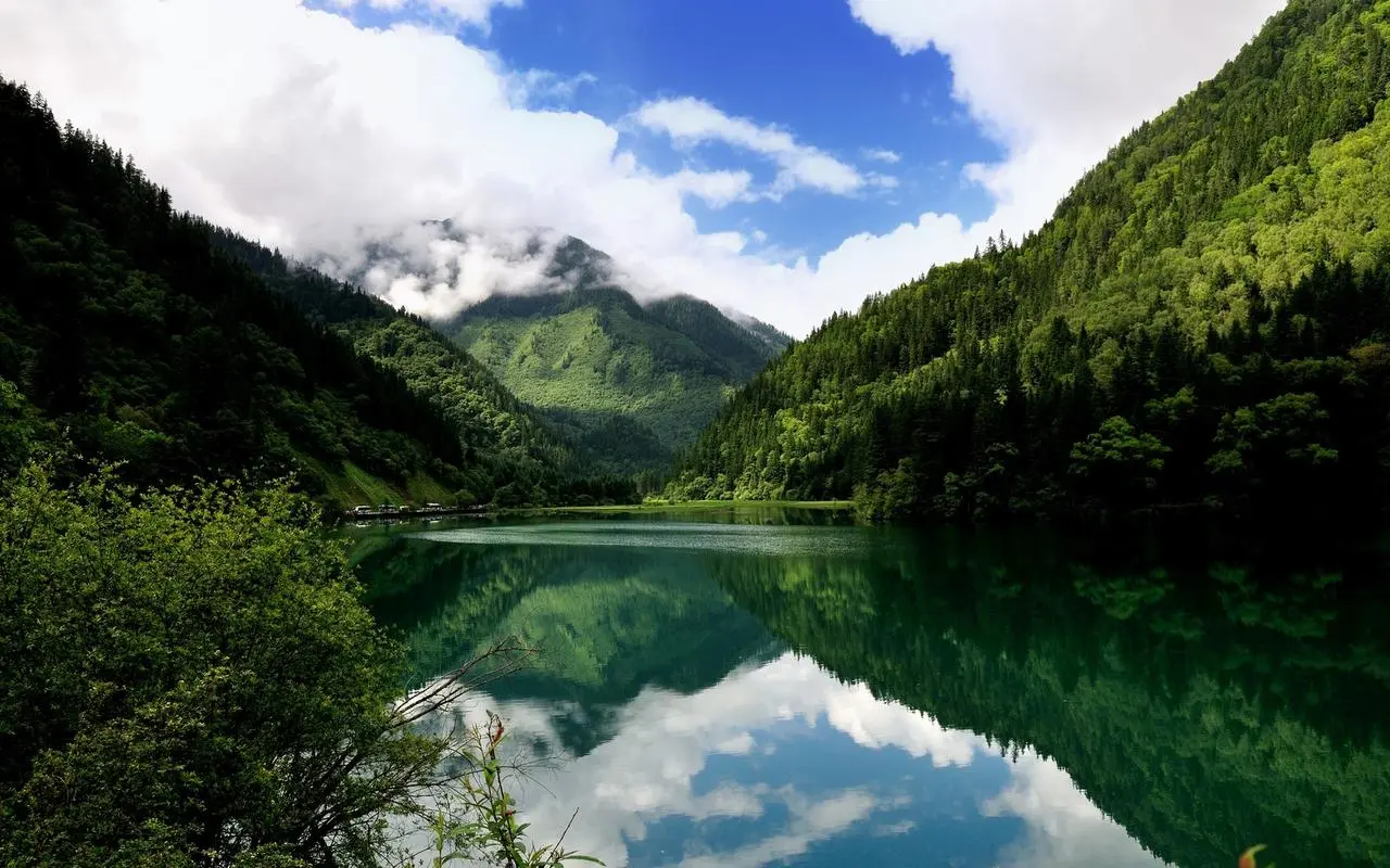 可靠性高性能